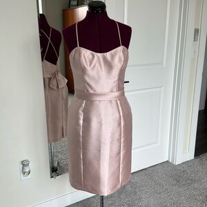 Watters & Watters Blush Cocktail Dress